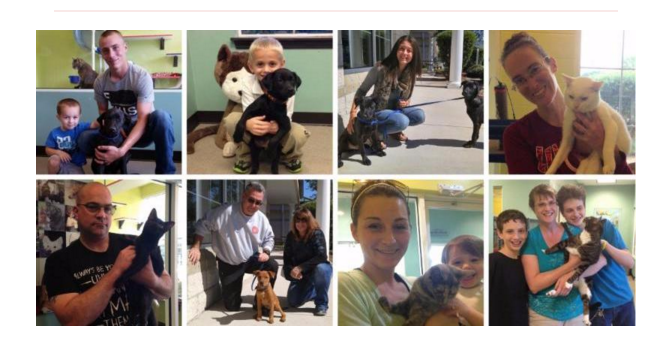 REDUCED FEE EVENT SENDS 80 CATS AND DOGS INTO LOVING HOMES.