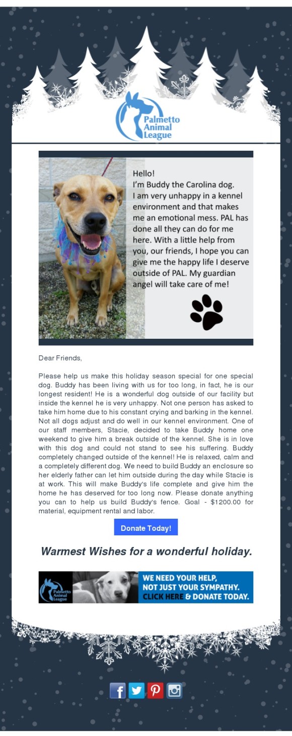 Help Buddy this Holiday 2 Palmetto Animal League