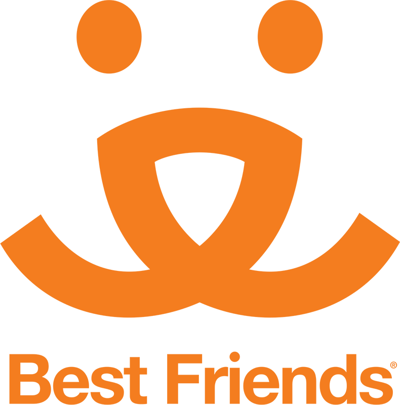 Best Friends Network Partner Logo