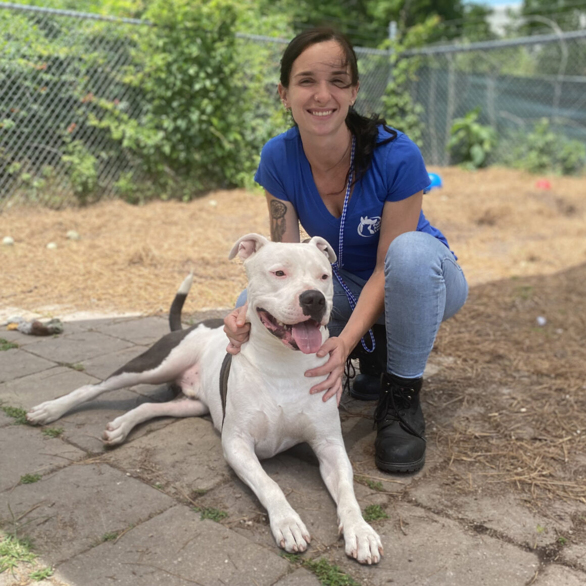 Hunky shelter dog seeks committed companion