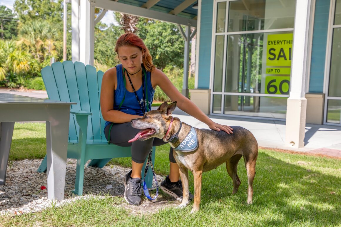 Grassroots animal rescue builds proactive, life-saving program