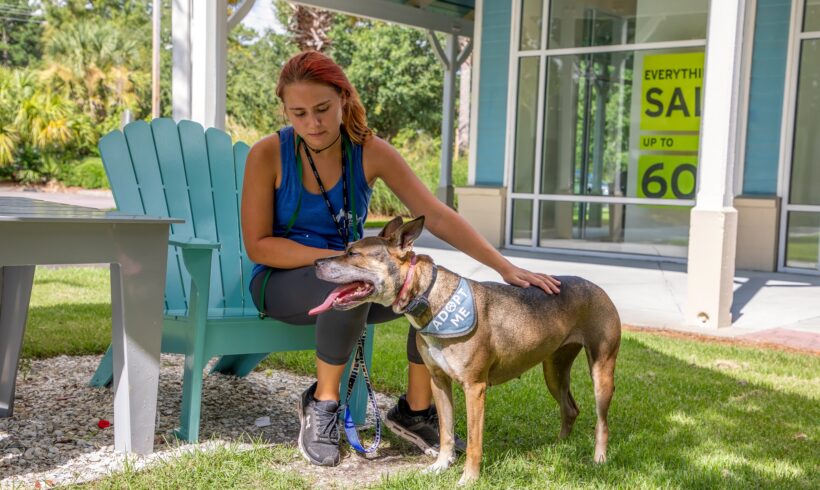 Grassroots animal rescue builds proactive, life-saving program