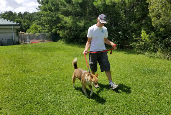 Bluffton Man finds peace and happiness volunteering with shelter dogs.